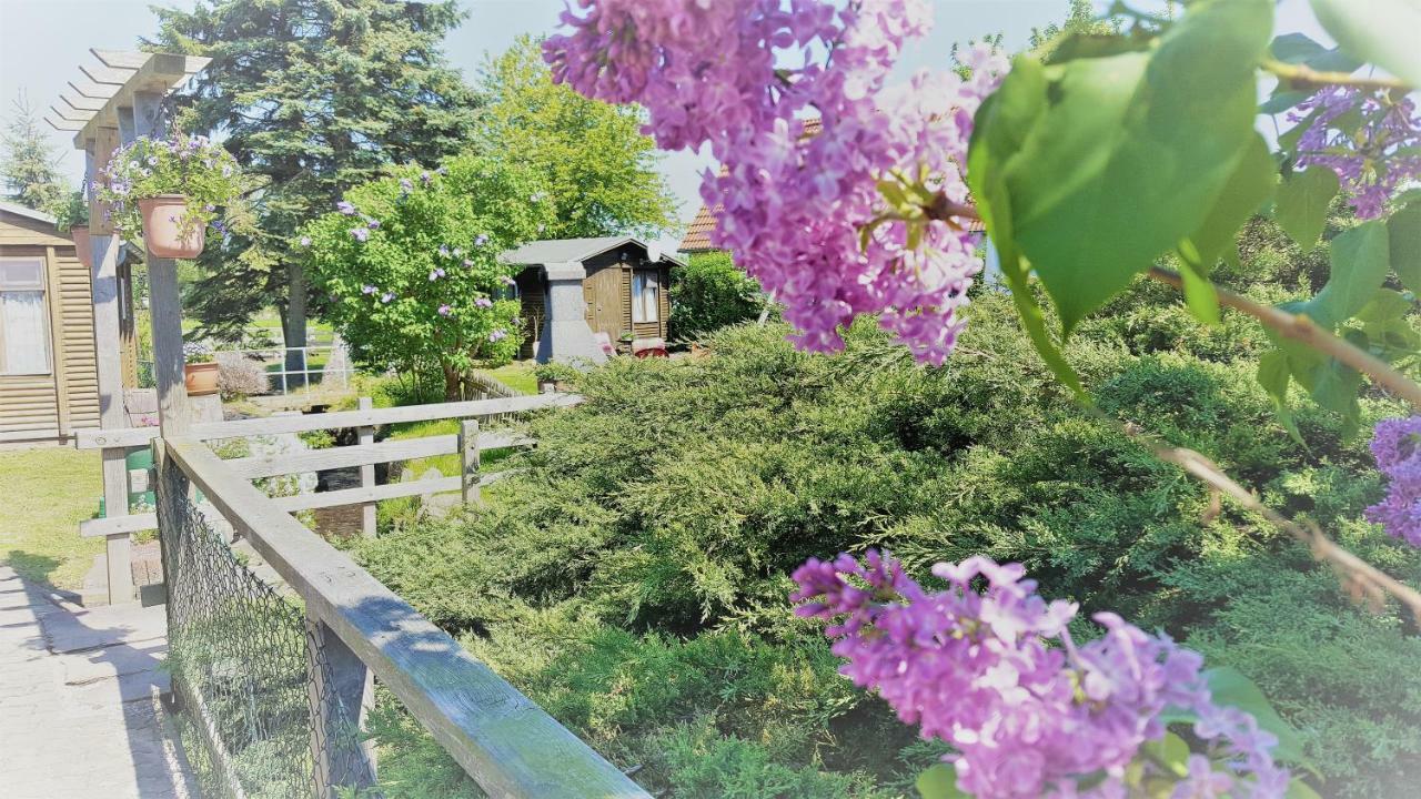 Urlaub Beim Schmied Διαμέρισμα Ostseebad Kühlungsborn Εξωτερικό φωτογραφία