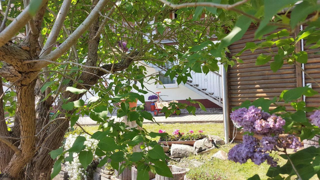 Urlaub Beim Schmied Διαμέρισμα Ostseebad Kühlungsborn Εξωτερικό φωτογραφία