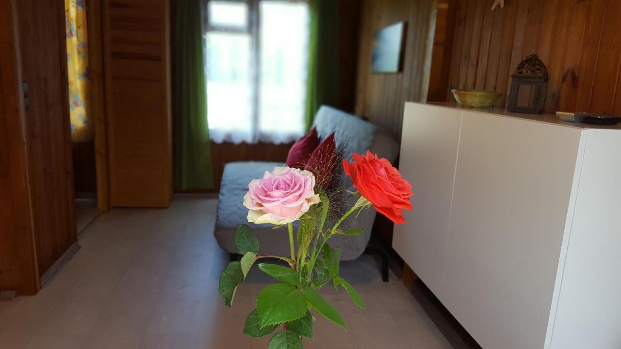 Urlaub Beim Schmied Διαμέρισμα Ostseebad Kühlungsborn Εξωτερικό φωτογραφία